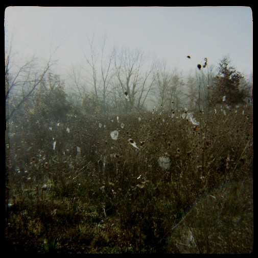 agfa isolj formato 4x4