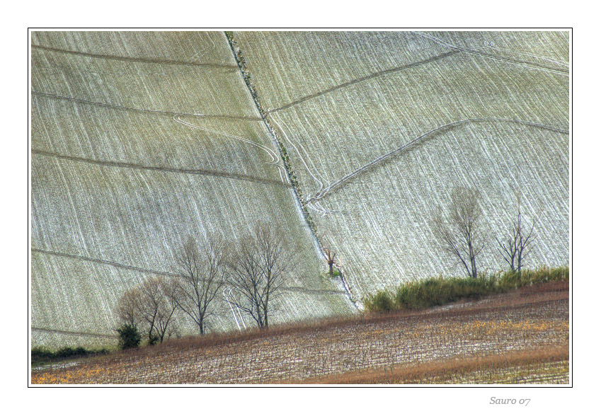 Geometrie della terra ...2