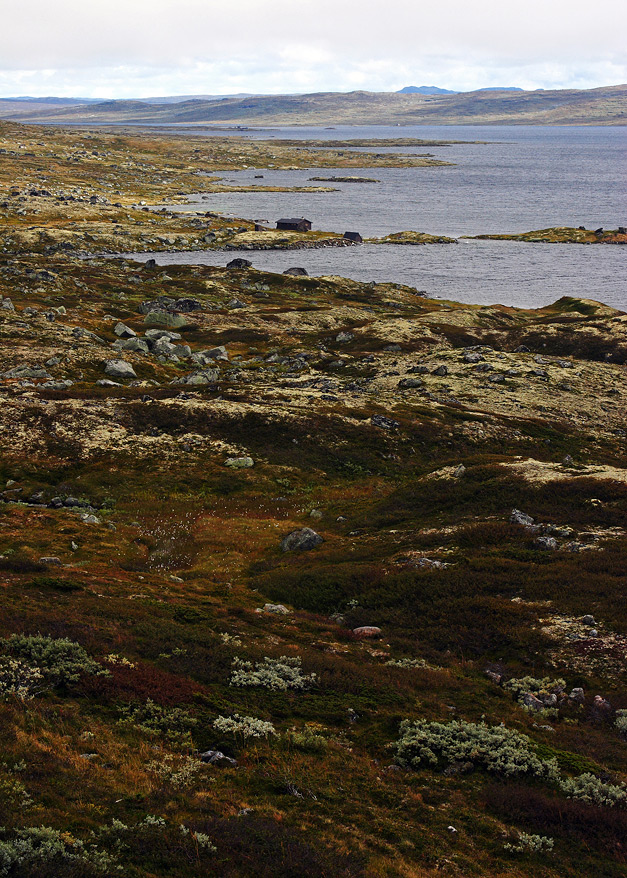 HARDANGERVIDDA - NORWAY