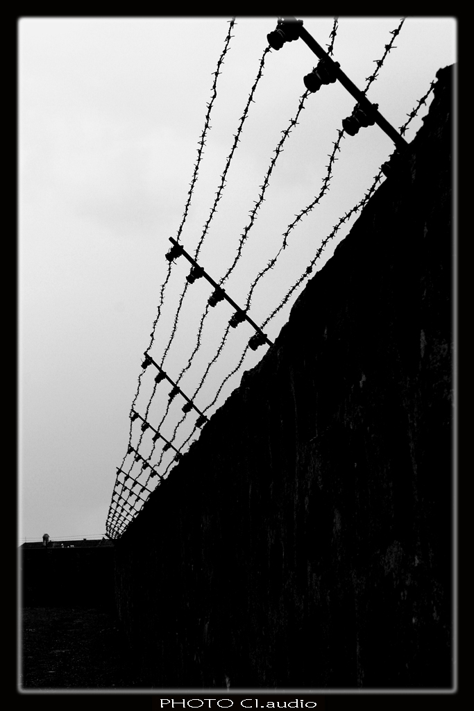 ... QUella sottile linea netta tra prigionia e libert�...