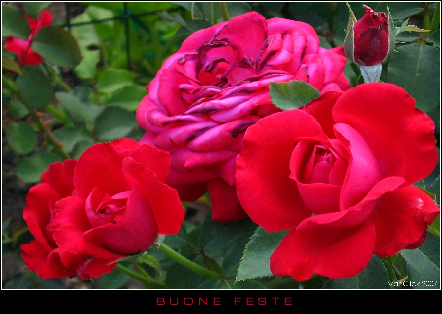 Il mio personale augurio per tutti voi