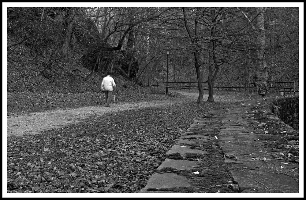 Passeggiando nel Parco