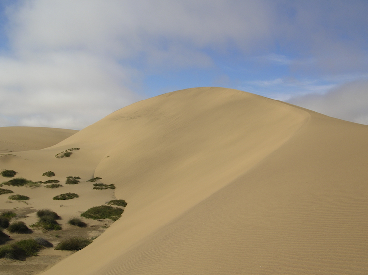 dune2
