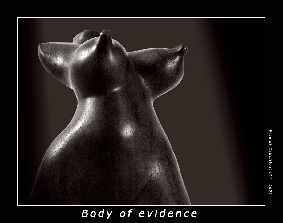 Body of evidence