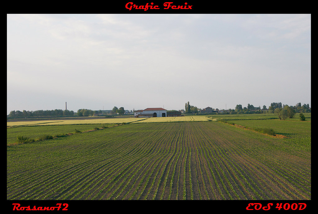 primavera in campagna