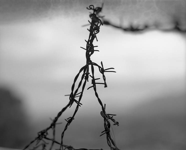 Reti: Cornici di nuvole.