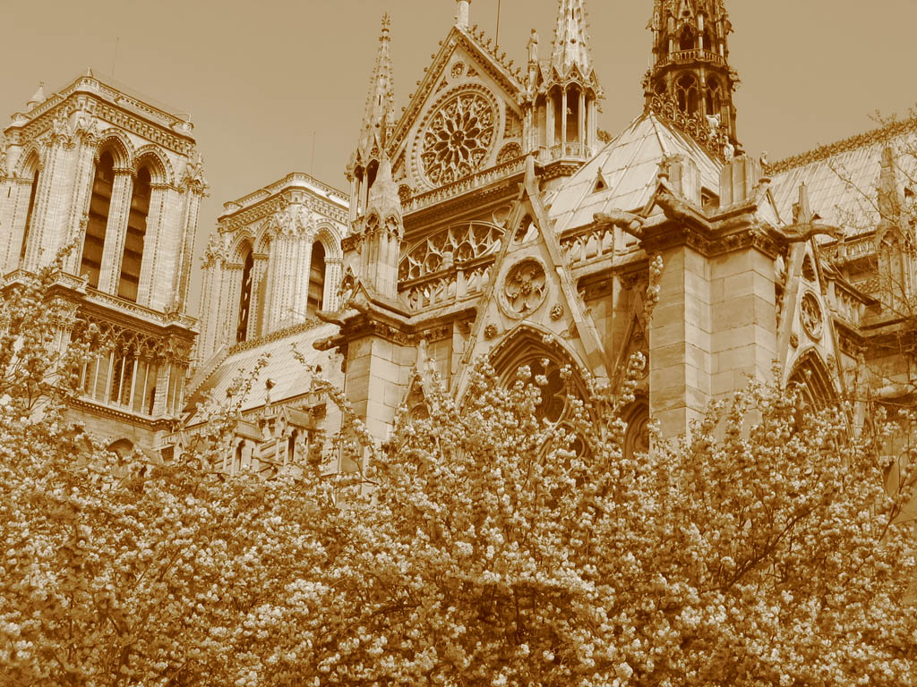 Notre Dame