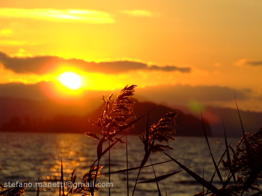 Un particolare del tramonto sul lago