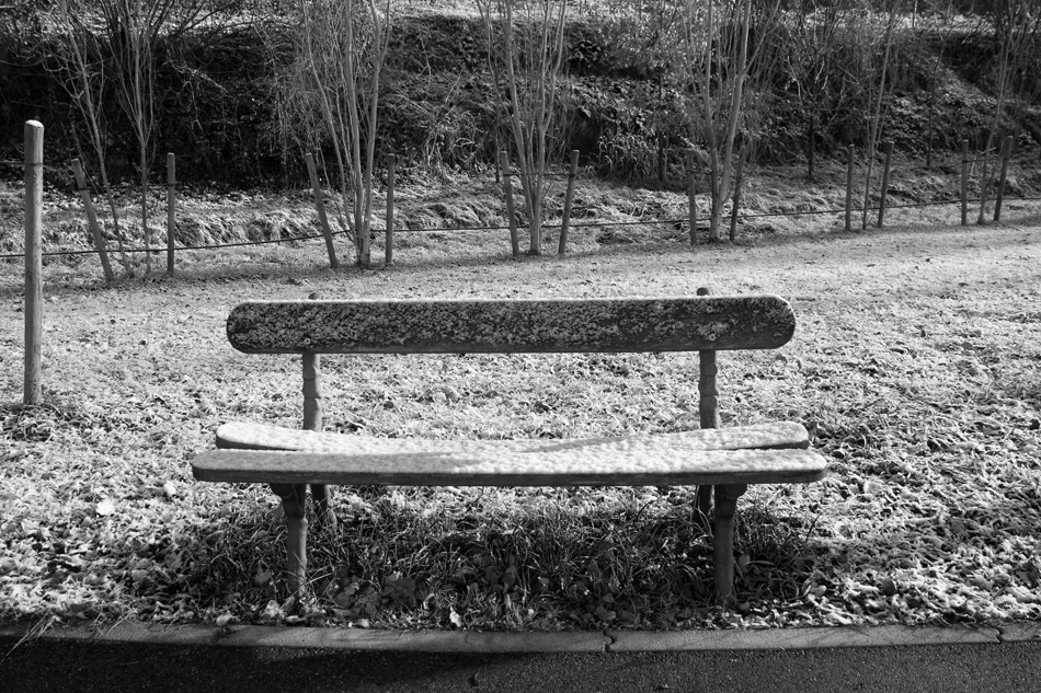 Ancora la leggera spruzzata di neve