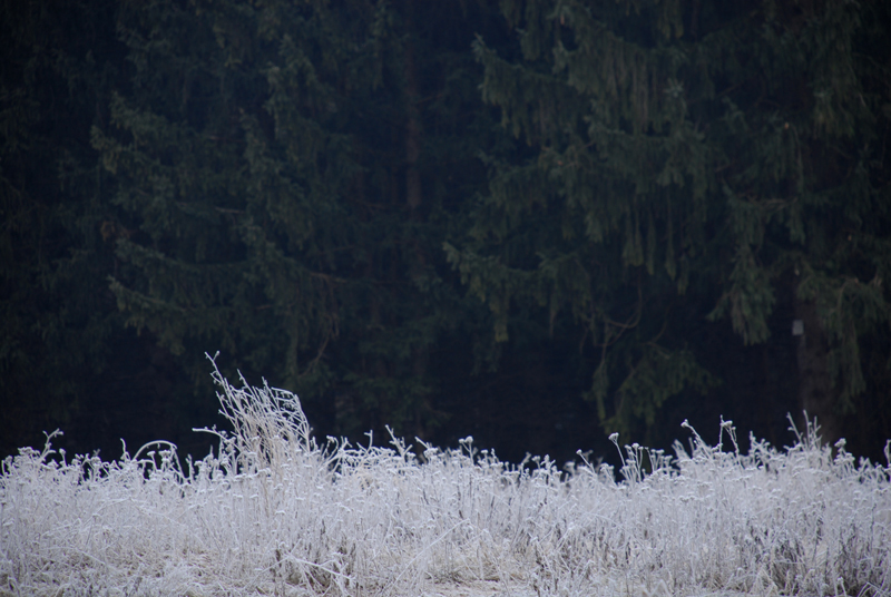 Ai bordi di un campo brinato