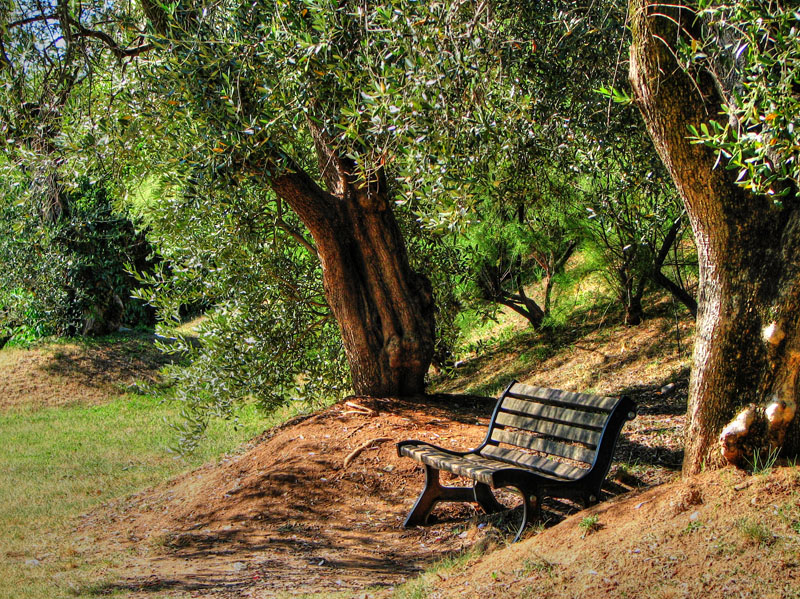 Nei giardini che nessuno s�....