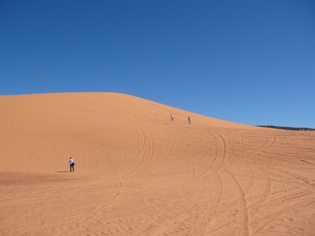 ricerca di libert�