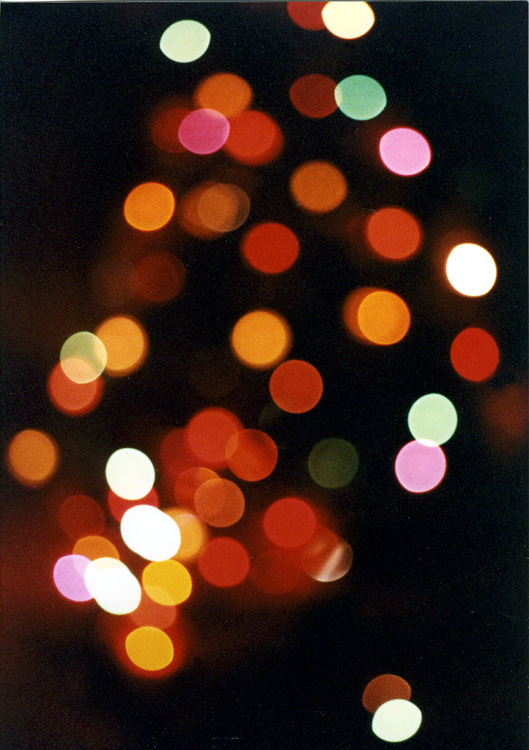 L' albero di Natale...