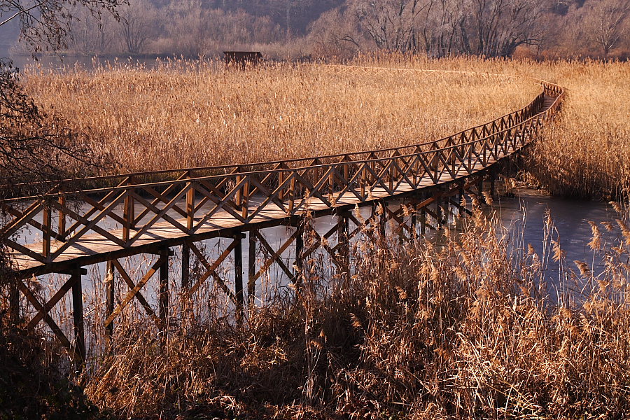 Passeggiata in natura