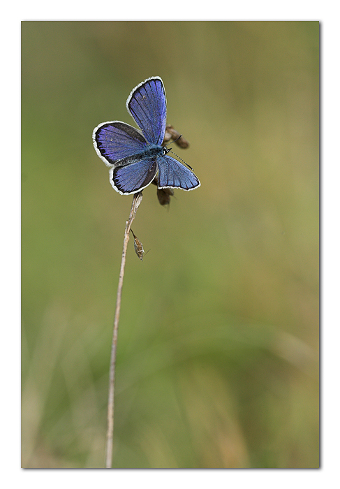 Rientro in piccolo stile