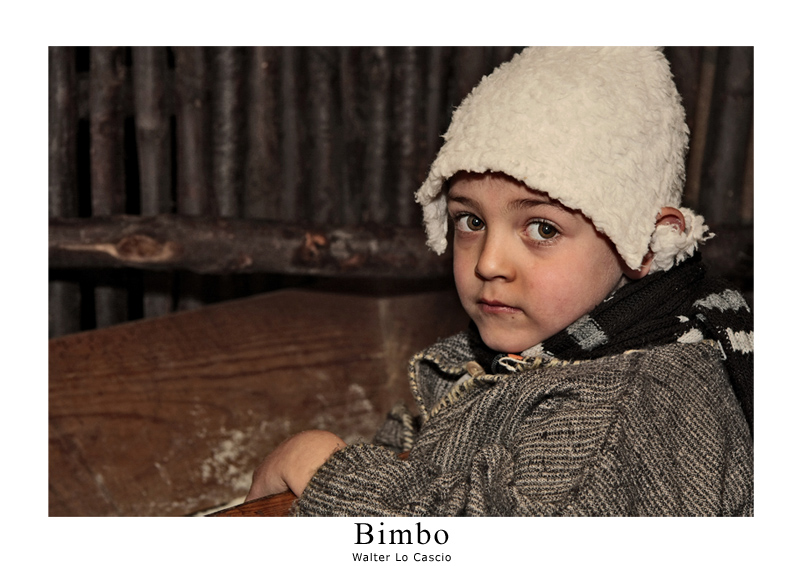 Bimbo