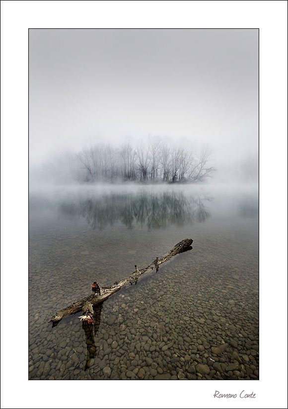 Dall'argine di un fiume
