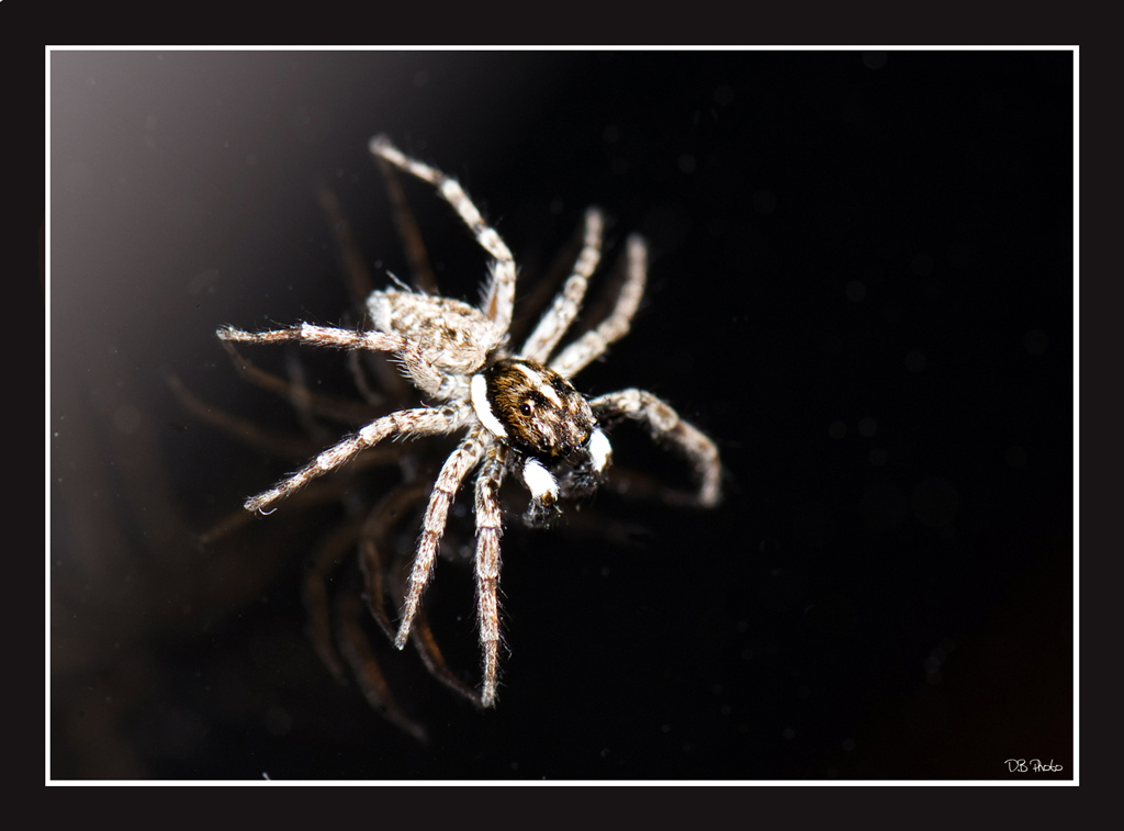 ......porta guadagno???