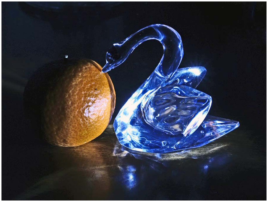 l'anatra all'arancia