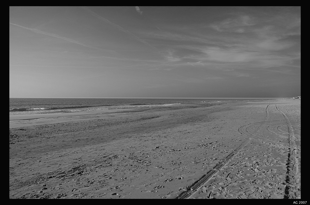 Ieri sera sono venuti qui ad amarsi