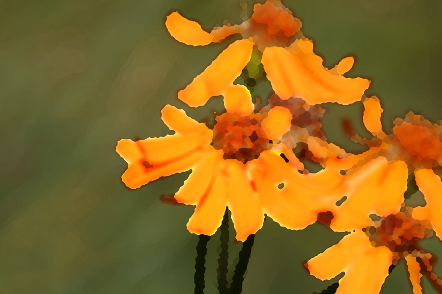 omaggio alle signore