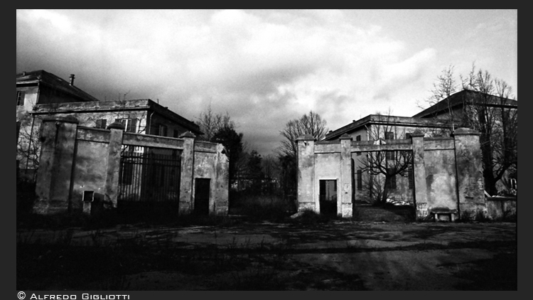 Welcome to crazy house...