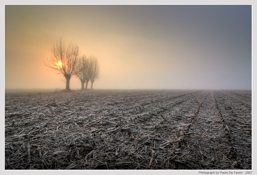 Nebbia e brina #2