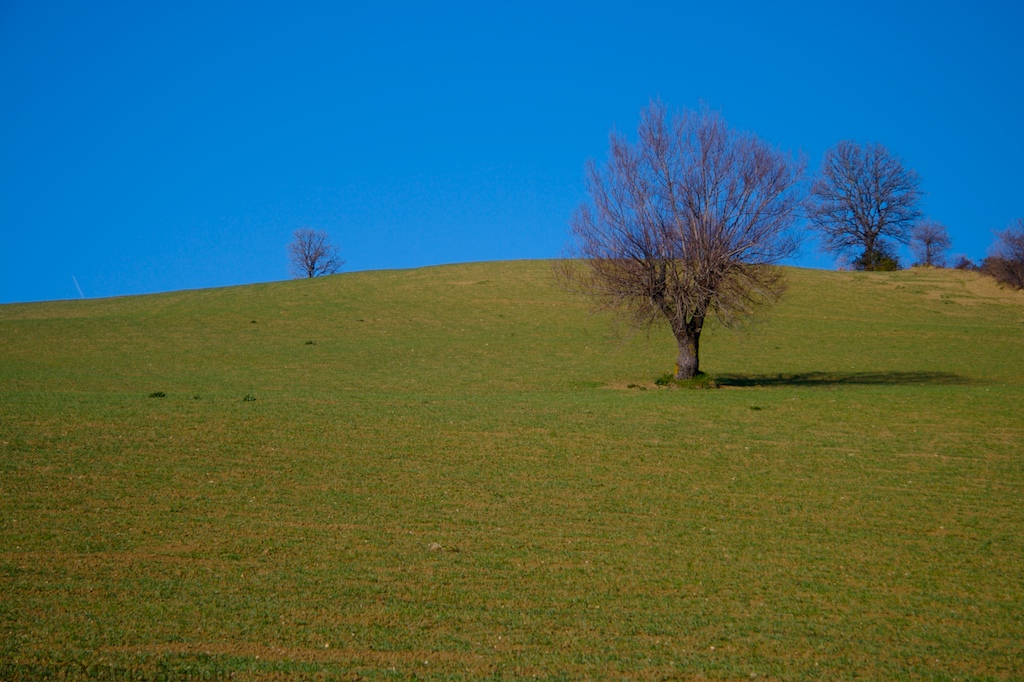 Colline Romagnole