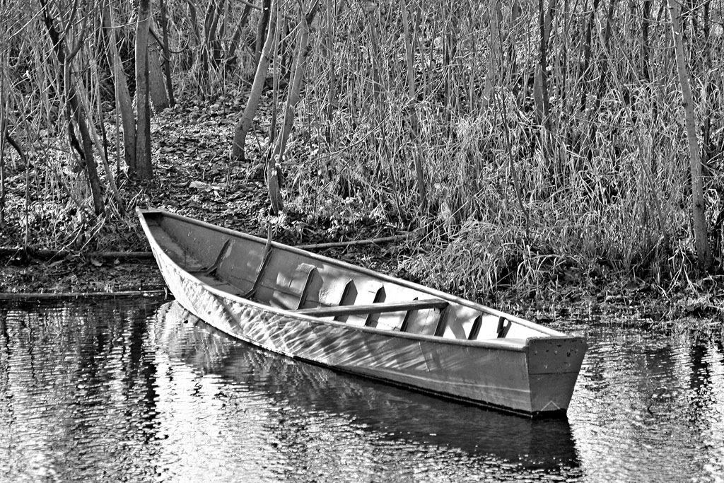 Fin che la barca va....