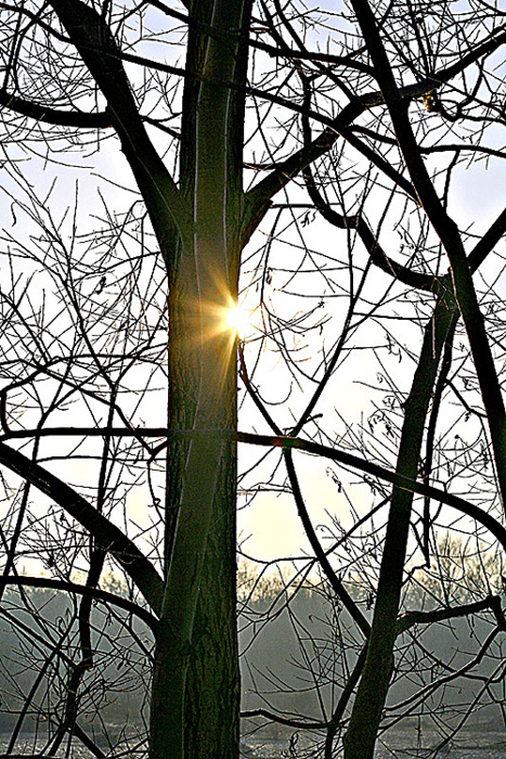 Nascondino con il sole