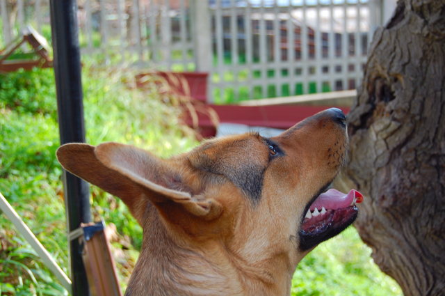 Kelly 1Anno (Nikon D40)