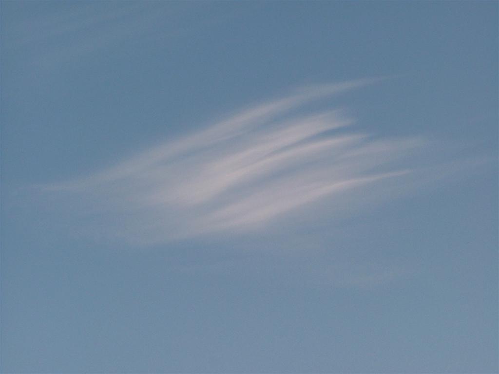 nel cielo