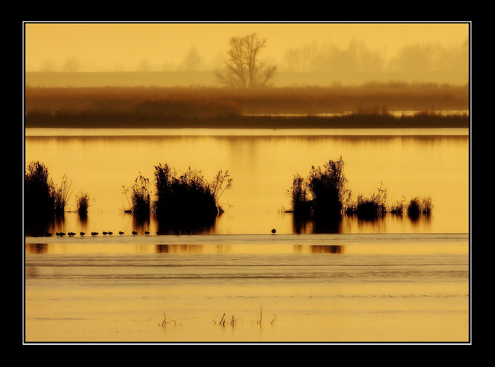 Sognando la  primavera