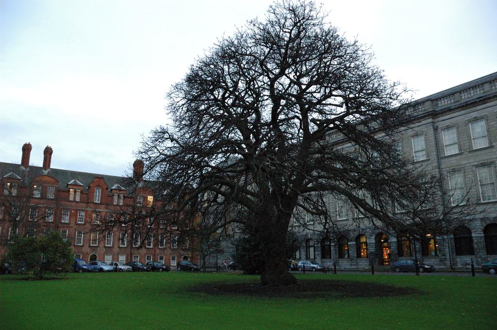 Trinity College