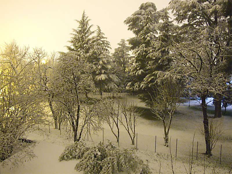 Neve a mezzanotte