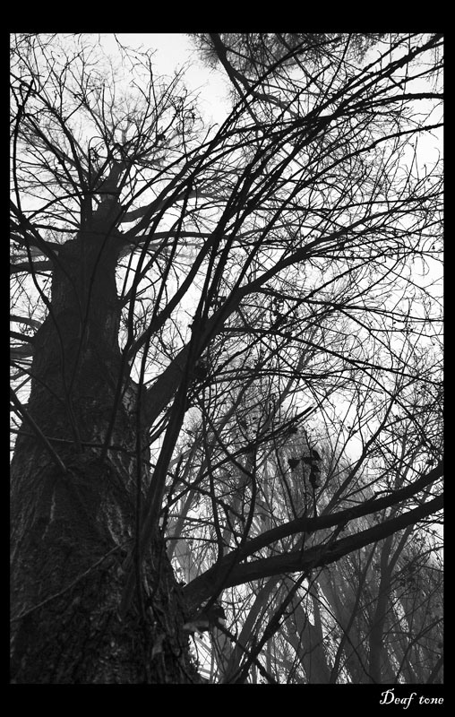 The warmest winter pt.3