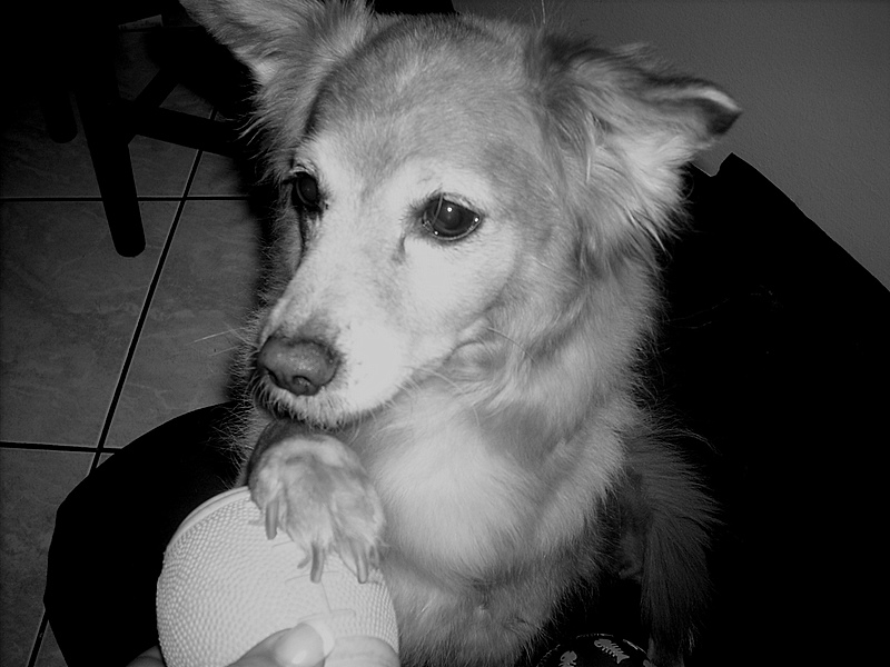 quanto mi piace giocare