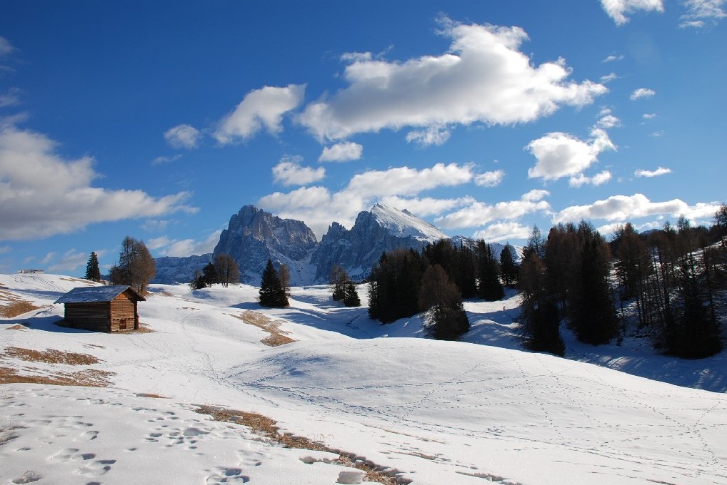 alpe di siusi 2