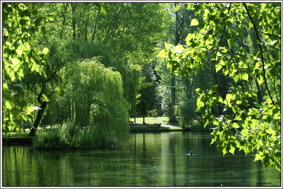 La sorgente delle ninfe