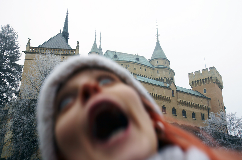 Il Mostro di Bojnice