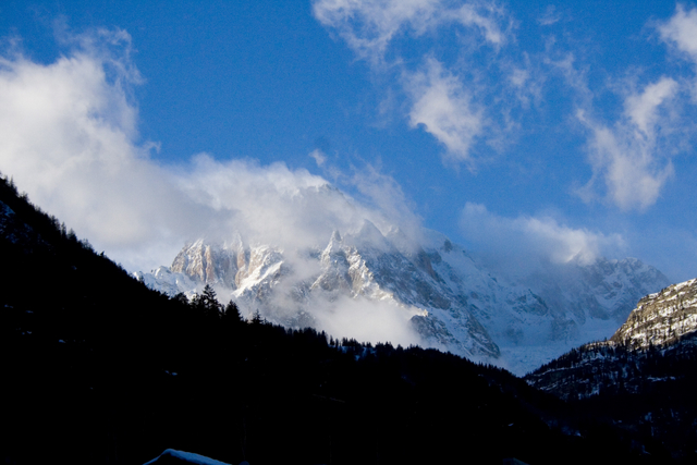 Sua Maest� il Bianco