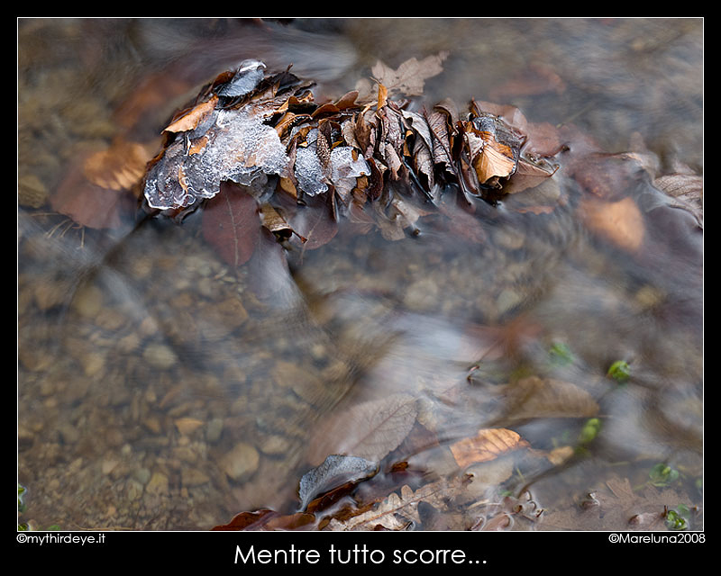 Mentre tutto scorre...