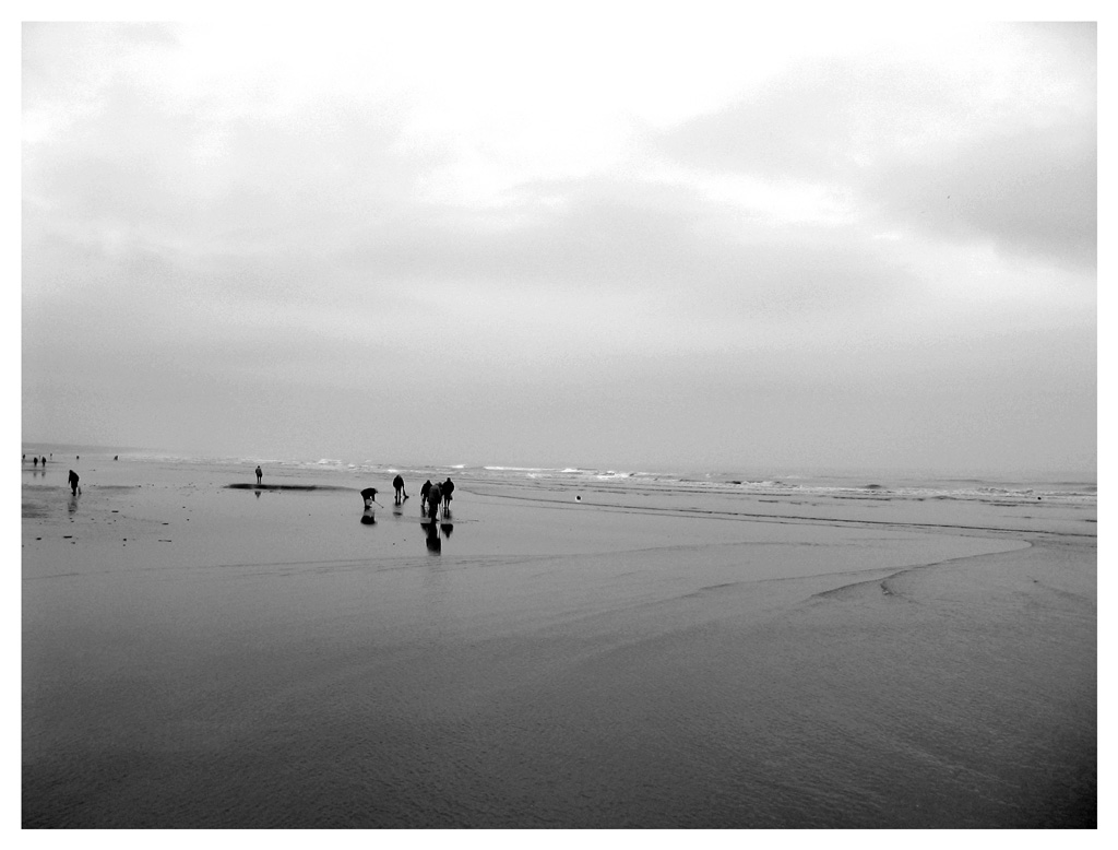 solitudini a grappolo