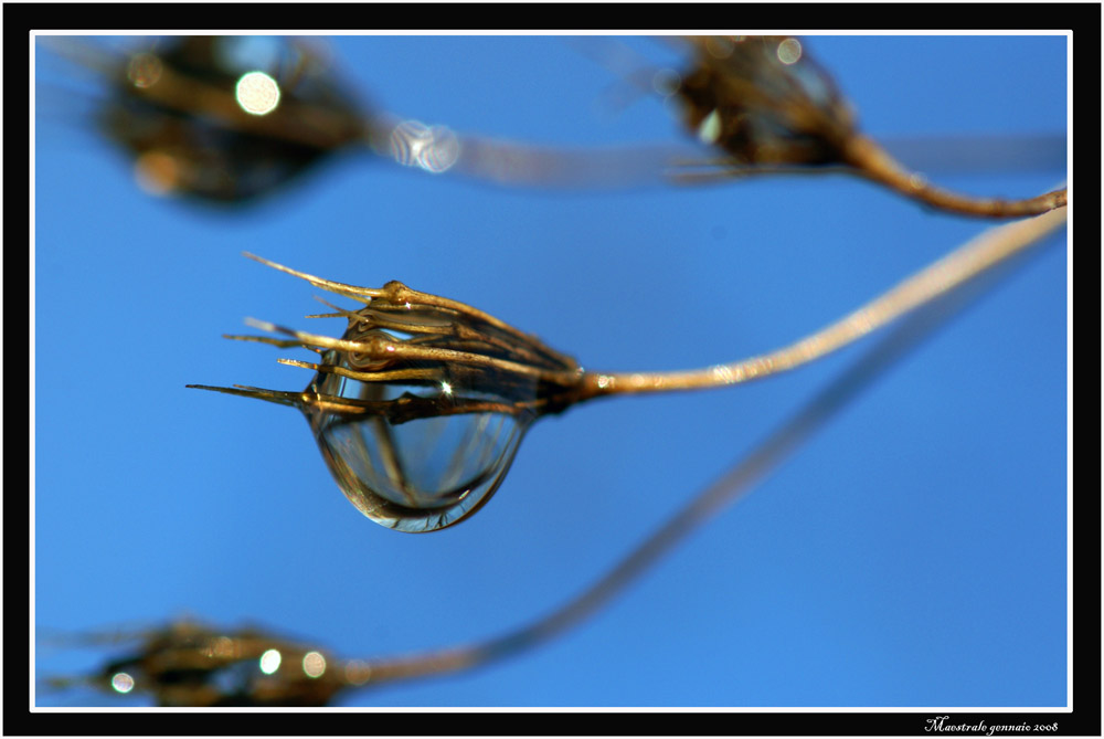 Gioielli di madre Natura