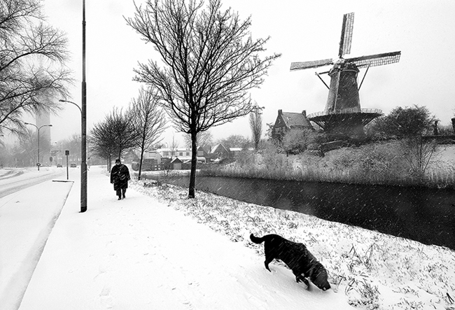 Dutch winter