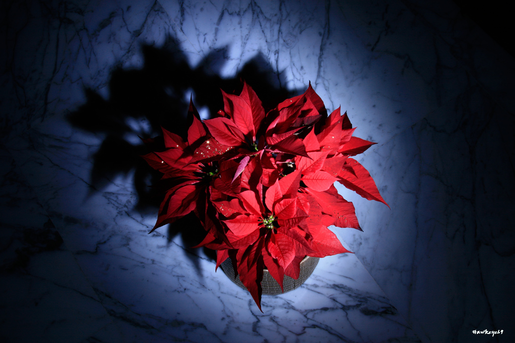 ...un raggio di sole per te...