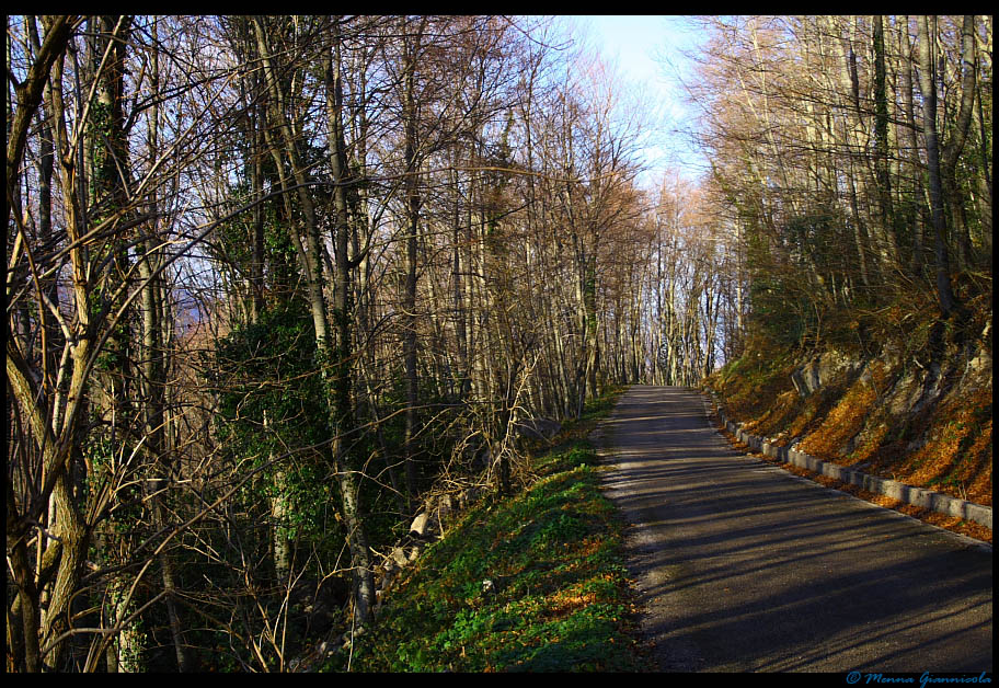 La strada del ritorno