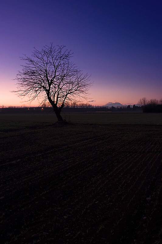 Un altro stupido tramonto