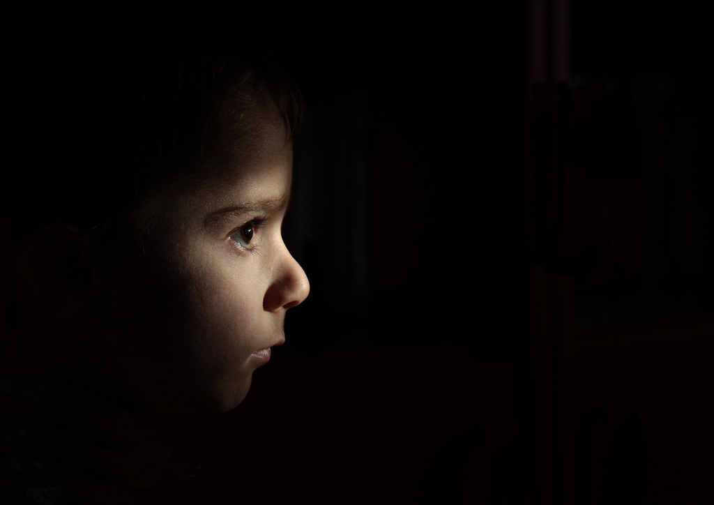 The life in the dark