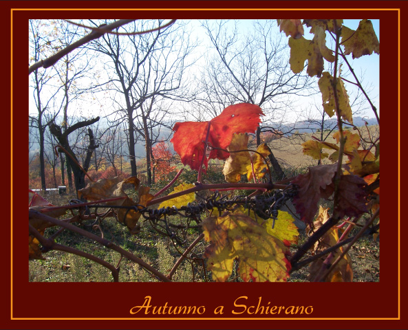 Autunno A Schierano